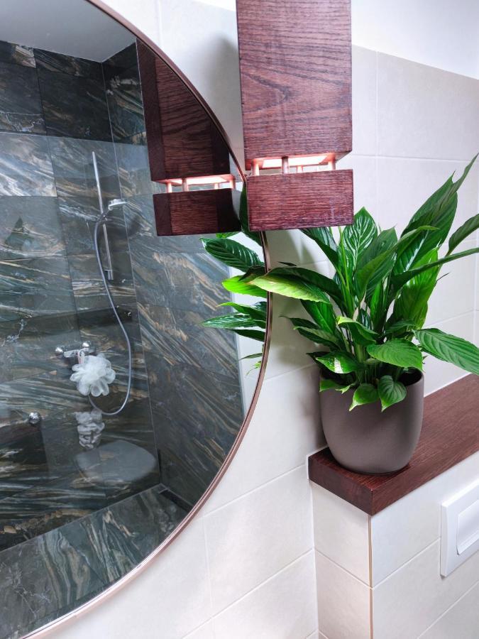 Art Gallery House With A Small Relaxing Pool 茨里克韦尼察 外观 照片