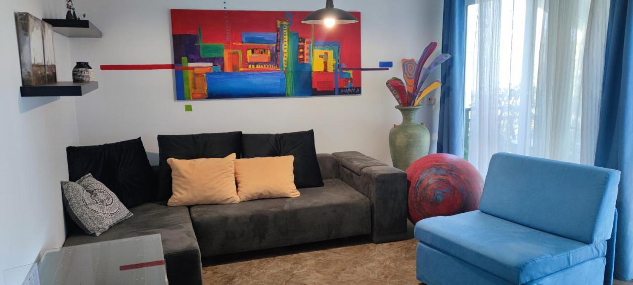 Art Gallery House With A Small Relaxing Pool 茨里克韦尼察 外观 照片