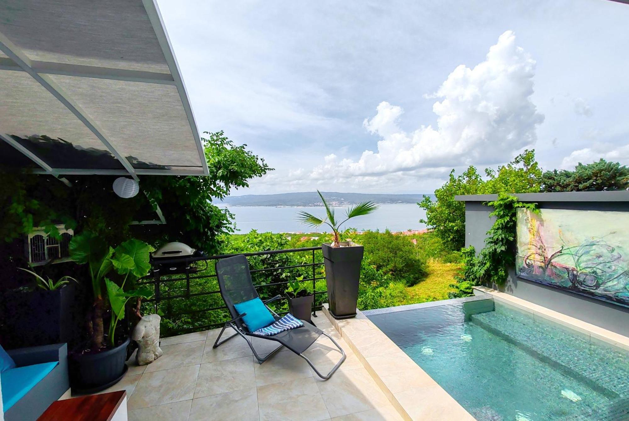 Art Gallery House With A Small Relaxing Pool 茨里克韦尼察 外观 照片